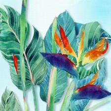 Fabric Printing